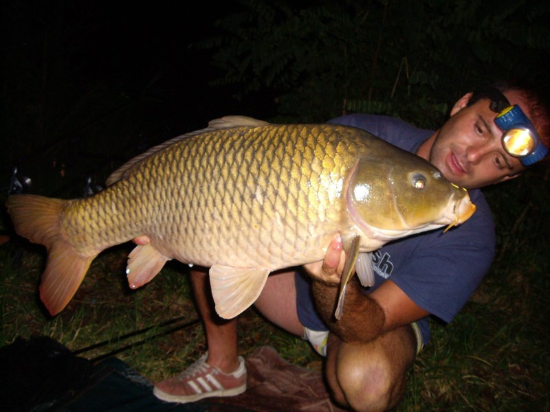 Carpa